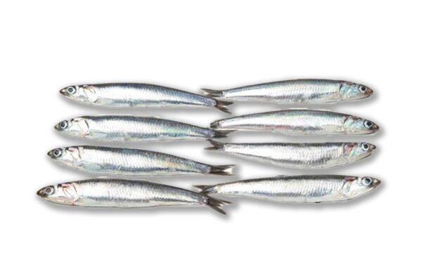 Boquerón Entero Sin Limpiar (500g) - Imagen 2