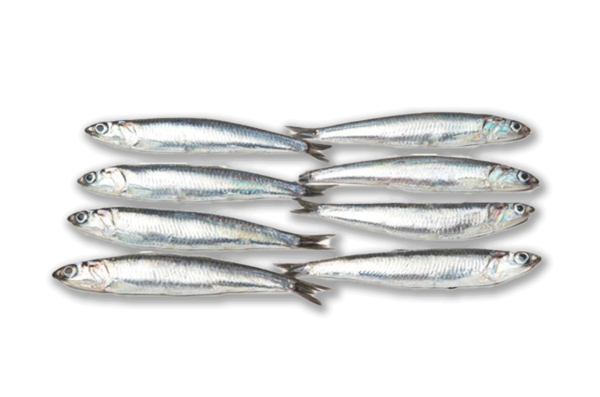 Boquerón Entero Sin Limpiar (500g)