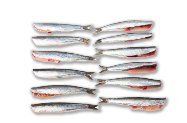 Boquerón Limpio Sin Cabeza y Tripa (500g)