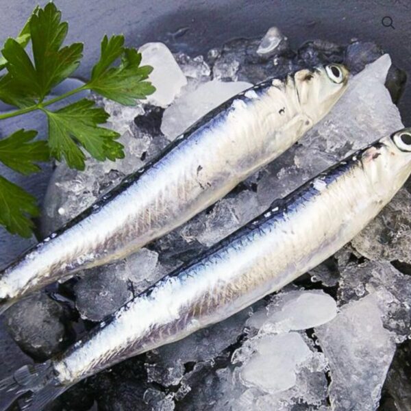 Boquerón Entero Sin Limpiar (500g) - Imagen 3