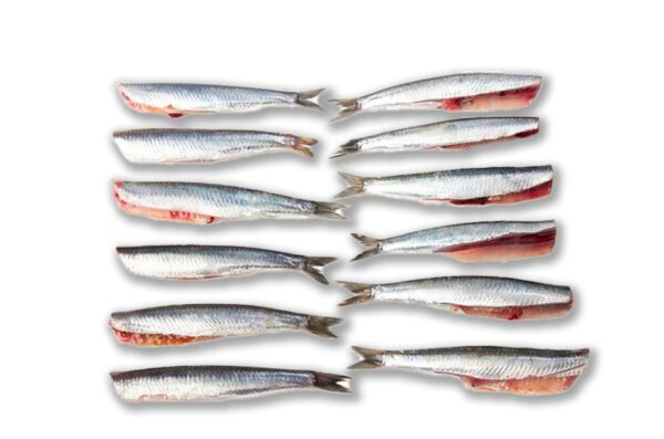 Boquerón Limpio Sin Cabeza y Tripa (500g) - Imagen 2