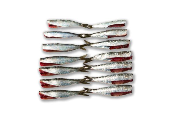 Sardina Limpia sin Cabeza y Tripa (500g) - Imagen 2