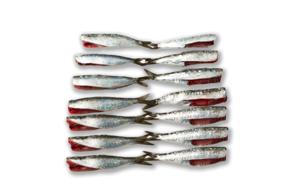 Sardina Limpia sin Cabeza y Tripa (500g)