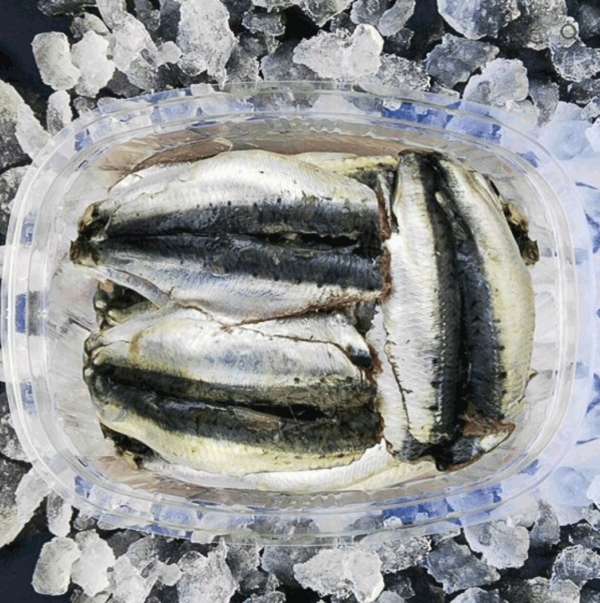 Sardina Limpia sin Cabeza y Tripa (500g) - Imagen 3
