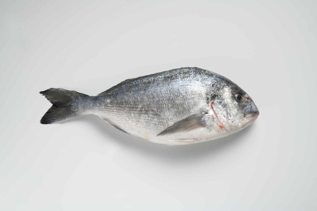 dorada