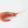 gambas
