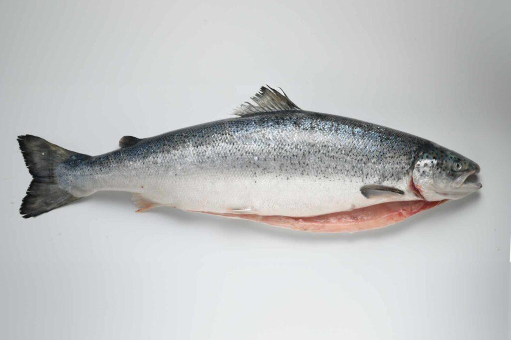 pescadería en barcelona