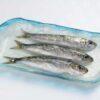 sardinas