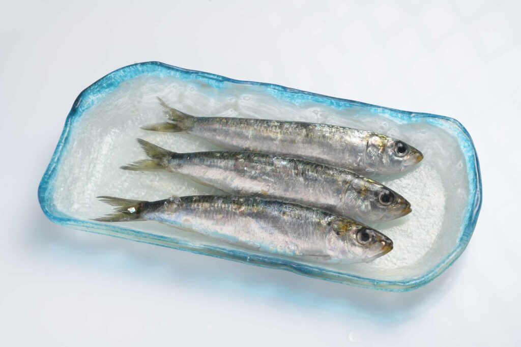 sardinas